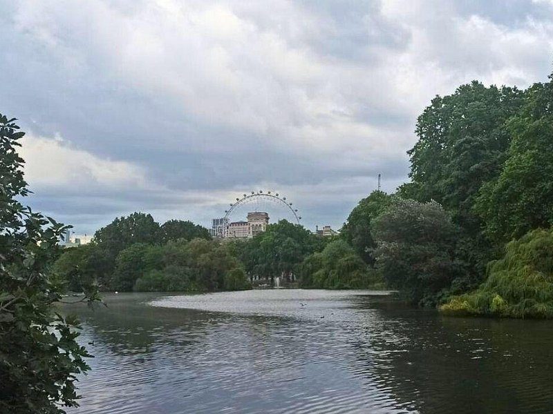 A London Layover With Kids